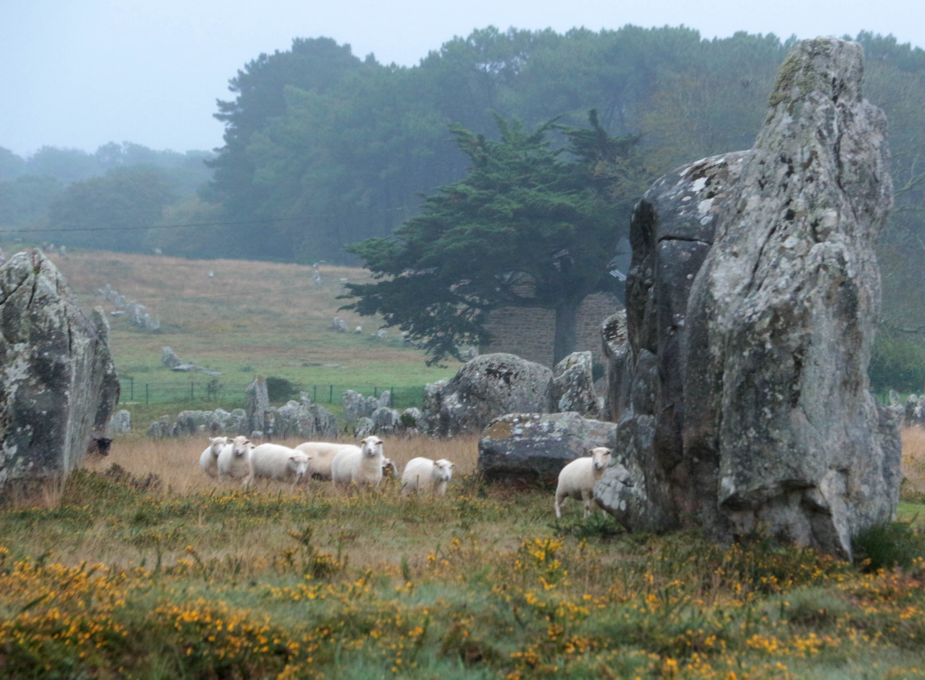The Carnac Enigma. 1.