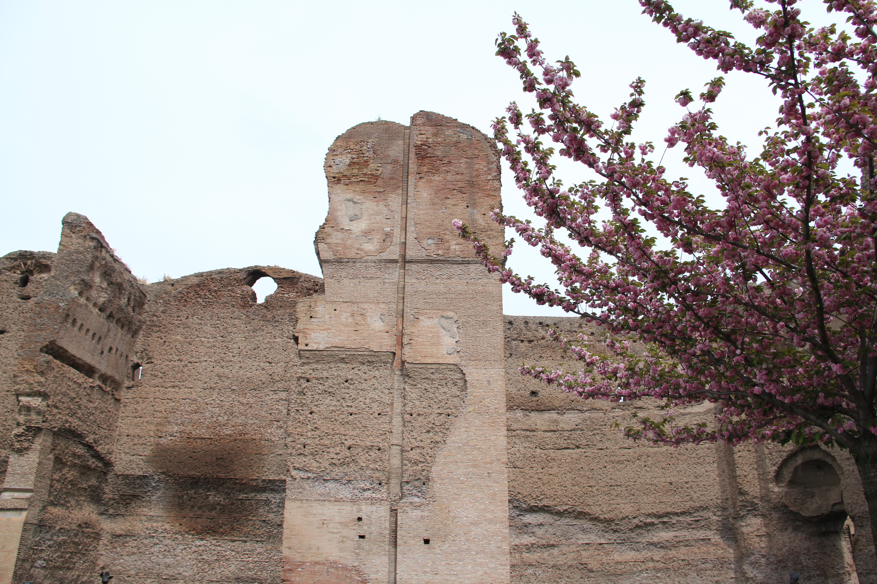 Roman Baths